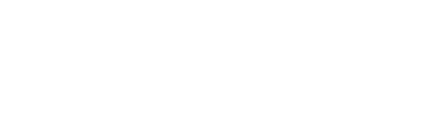 WISE Health Insurance Experts